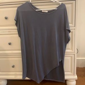 Lizard Thicket Gray Tee